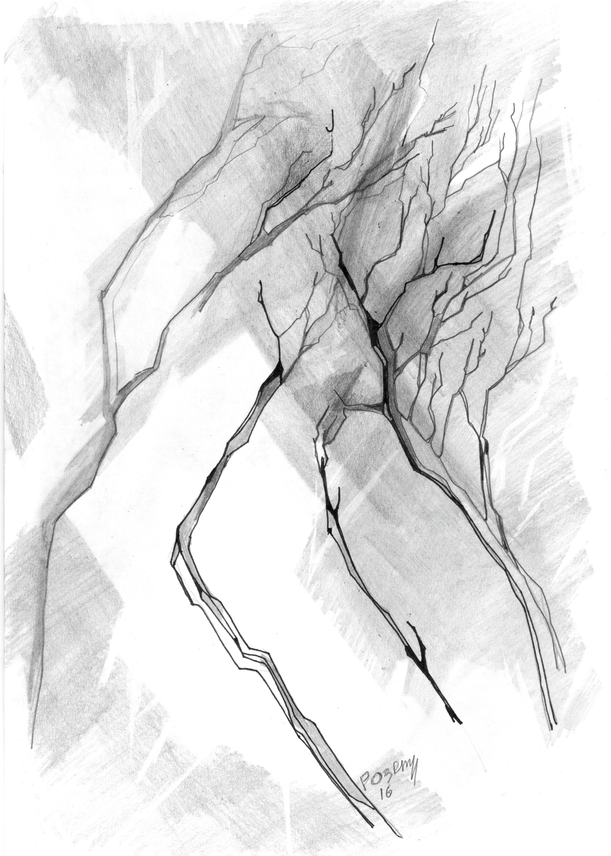 Произведение Ольги Розет